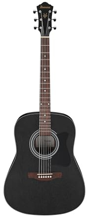 Ibanez Acoustic Guitar / V54NJPWK