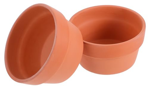 WRITWAA Lot de 2 Jardinières en Terre Cuite pour Plantes Succulentes et Cactus Diamètre 125 CM Pot de Fleurs avec Trou de Drainage pour Intérieur et Décoration de Balcon
