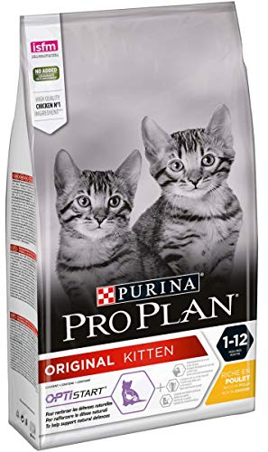 Pro Plan Cat Original Kitten 1-12 Monate OPTISTART Trockenfutter, reich an Huhn, 1er Pack (1x 1,5kg)