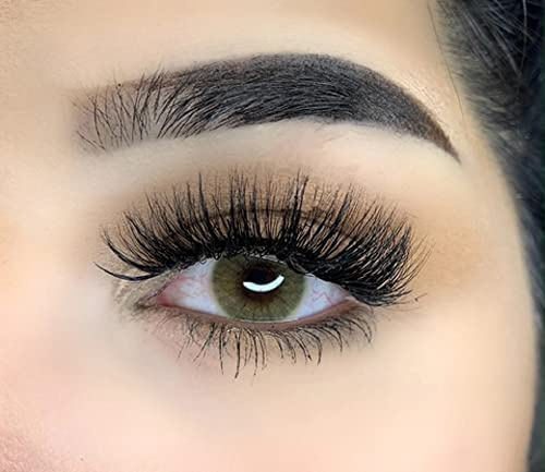 MYSALENS® Lentilles De Contact De Couleur Amber - Ambre Hidrocor Couleur Naturelle très haute opacité Kit De Rangement Boitier - Pince et applicateur Offert 12 Mois sans correction