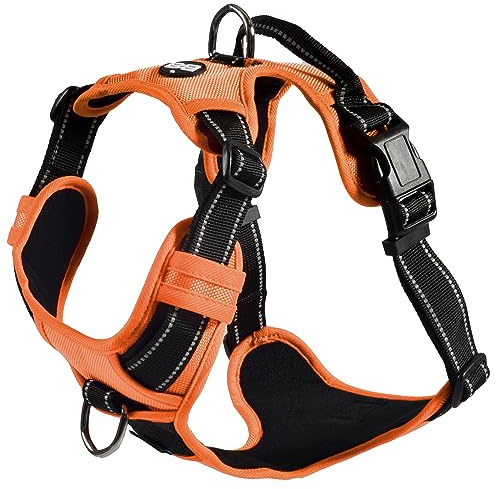 Bobby Rando Walk Harnais pour Chien en Nylon Taille Moyenne, Confortable, réfléchissant, réglable, Orange, M/40-63 x 2 cm