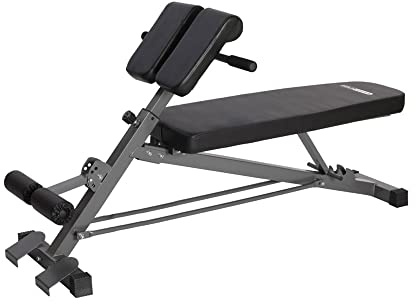 HolaHatha Adjustable Flat & Decline Bench, Weight Lifting and Training Equipment for Full Body Workout - Padded Seat and Dumbbell Storage