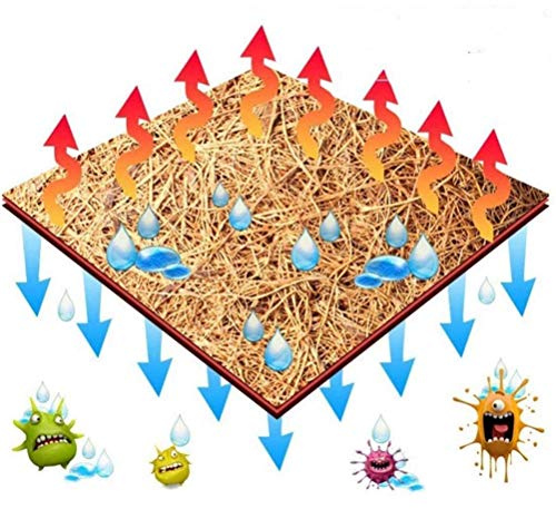 Ejoyous Alfombra de Fibra de para Mascotas, Alfombra para Reptiles, Forro de Fibra de Palma de Reutilizable Lavable de 60 X 100 Cm, Ropa de Cama Suave, Transpirable y Absorbente para (Brown)