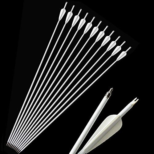 SHARROW 12 Stücke Carbonpfeile 30 Zoll Bogenpfeile Jagd Pfeile für Bogen 500 Spine mit Pfeilköcher für Recurvebogen Compound Bogen (Typ 1)