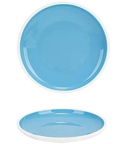 NGDECOR Piatti Piani in Plastica Infrangibili e Riutilizzabili - Piatto Piano in Melamina - Piatti Piani Impilabili Stoviglie - AntiGraffio, Lavabile in Lavastoviglie, Senza BPA,Blue-11in