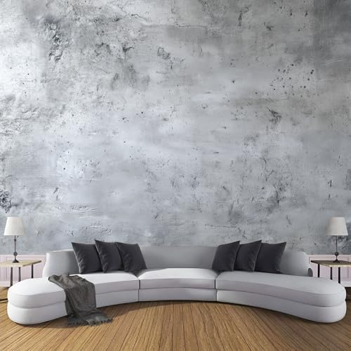 Carta da parati Muro Di Cemento Struttura 400 x 280 cm, grande carta da parati fotografica Stile Minimalista Industriale, murale Grigio decorazione per soggiorno camera da letto cucina ufficio bambini