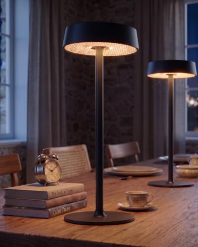 EZVALO Rechargeable Cordless Table Lamp, Touch Control RGB Lighting with 3 Colour Temperatures & Memory Mode, Waterproof Portable Light for Patio, Garden, Kitchen, Dining Room & Restaurant