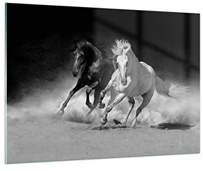 Quadro su Vetro 100x70cm Stampe da Parete in Vetro Andaluso Cavalli Galoppo Grandi Decorazione Murale Camera da Letto Cucina 1 pezzo Quadri Moderni Soggiorno Grafica Immagini Wall Art GAA100x70-4240