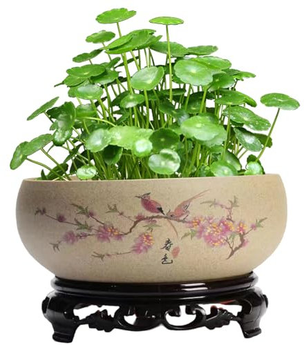 Lotusschalen zum Pflanzen in Wasser im Innenbereich, chinesischer Keramik Bonsai Schale Lotusblume Samen Pflanzer mit Ständer, Hydroponic Bonsai SchüSsel Lotusblume für Bürogarten Innen im Freien