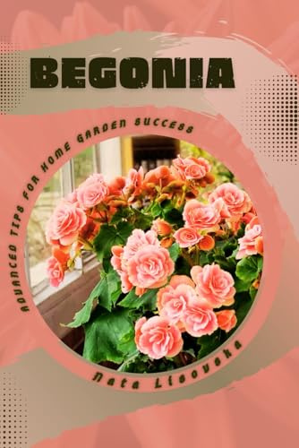 Begonia: Advanced Tips for Home Garden Success