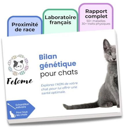 Felome Bilan génétique pour Chat Test ADN pour 56 Maladies génétiques et 31 Traits - Groupe sanguin et sensibilité médicamenteuse