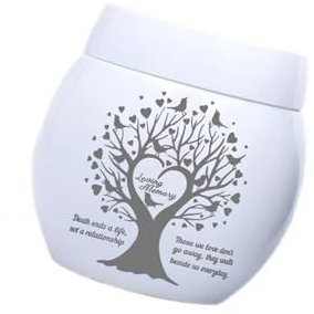 Ldabrye Caja de urna conmemorativa para cenizas de mascotas, restos humanos con tapa segura, tarro de cremación para perros y gatos, contenedor de cenizas para pérdida de pelo de mascotas