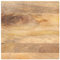 vidaXL Tischplatte, Holzplatte für Esstisch Couchtisch, Massivholzplatte Rustikales Design, Ersatztischplatte, 50x50x3,8cm Quadratisch Massivholz Mango