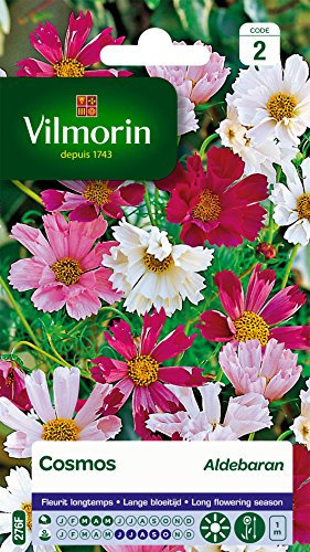Vilmorin 5248842 Pack de Graines Cosmos Aldebaran Pétales Tubules