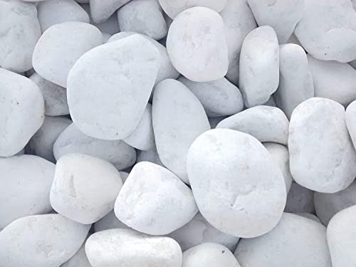 Vegara Stone Pierre de jardin décoration galet blanc pur 2-4 cm (10 kg)
