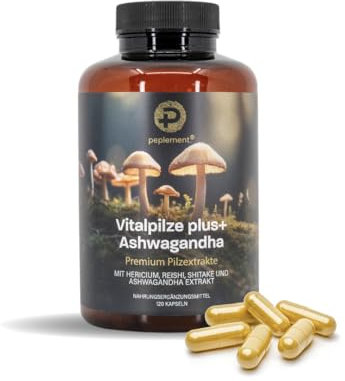Vitalpilz plus+ Ashwagandha Kapseln | Mushroom Complex – 120 Kapseln – Lions Mane (Hericium), Reishi, Shiitake & Ashwagandha Extrakt – 30–50% Polysaccharide, 2,5% Withanolide – Vegan