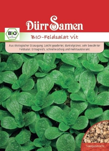 Dürr Samen 1049 Feldsalat Vit (Bio-Feldsalatsamen)