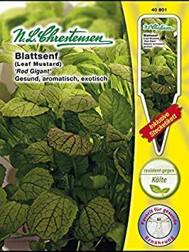 Leaf Mustard 'Red Tearful Heart' - Brassica juncea 40801 : Package Contains Seeds
