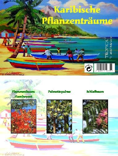 Mini-Gewächshaus - Karibische Pflanzenträume - Samen der Palmettopalme, Schlaf- und Flammenbaum