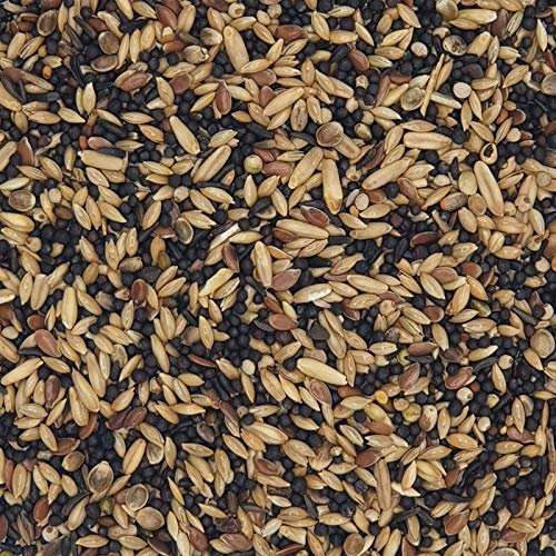 Versele Kanarien Zucht 20 kg