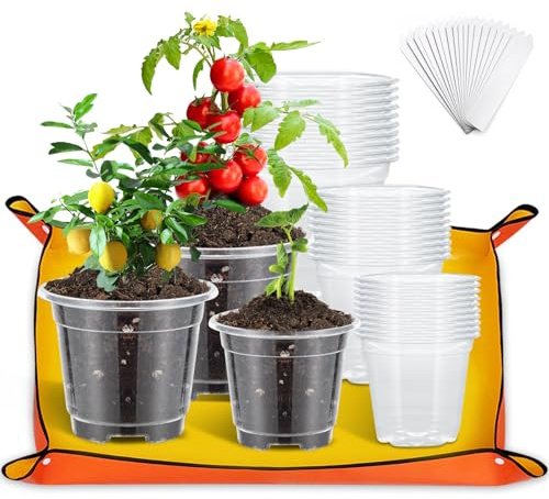 ZZXLOPEZ 30 Pezzi Vasetti per Piantine con Tappetino per Piante, Vasi per Orchidee Trasparenti, 9cm 10.5cm 12.5cm Vaso Trasparente per Orchidee con Fori Drenaggio, Vasi in Plastica con 30 Etichette