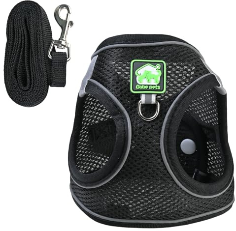 Harnais pour Chien avec Laisse De 1,5 M Maille Respirante Bandes RéFléChissantes Harnais Chiot pour Petits Chiens Noir S
