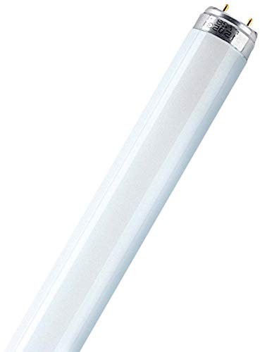 Osram Lumilux T8 G13 L 30 W/827 Lampada fluorescente