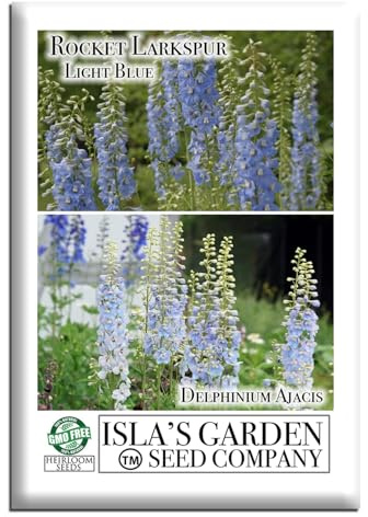 Larkspur Rocket Light Blue Flower Seeds (Delphinium ajacis) – 250+ Heirloom Non-GMO Seeds by Isla’s Garden Seeds, Tall Spikes for Cut Flowers, Cottage Garden Favorite, Cool-Season Annual Blooms