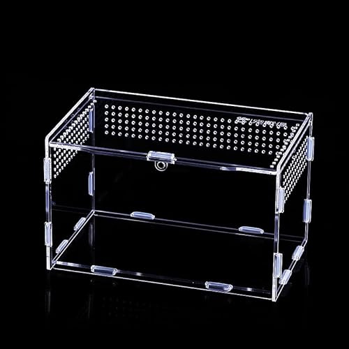 Transparent Reptile Terrarium Box, Insect Feeding Box, Climbing pet terrarium, acrylic terrarium, Portable Reptile Habitat for Spide, Lizard, Scorpion, Beetle, Crickets, Mantis, Geckos (25*15*15cm)