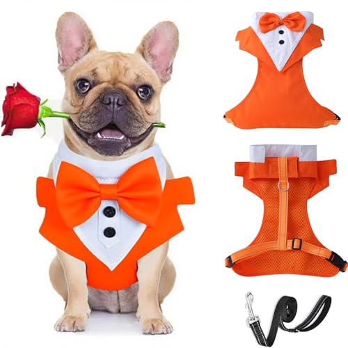 Harnais de smoking avec laisse pour chien – Gilet formel avec nœud – Harnais de mariage réglable pour chiot et chien de petite et moyenne taille _L (orange)