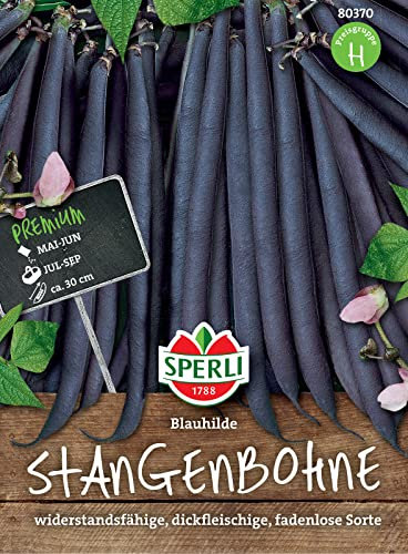 Sperli Stangenbohnensamen Blauhilde 80370 - dickfleischige, fadenlose, lange Hülsen - Inhalt für 15-20 Stangen - Gemüsesamen, Samen Gemüse, Saatgut
