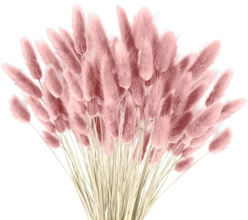 120 pcs Erba della Pmapas, Fiori Essiccati Pampas Erba Piante Fluffy Fiori Essiccati, Boho Decorazione Casa Fiori Arrangements (Rosa)
