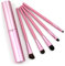 5 Piece Professional Makeup Brush Set - Eyeshadow, Eyeliner, for Eyes