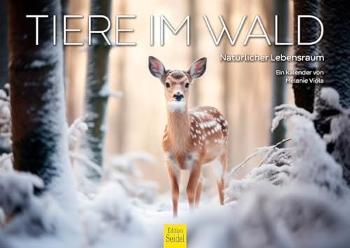 Edition Seidel Calendario premium de animales en el bosque 2026, formato DIN A4, calendario de pared, calendario de animales, animales del bosque, hábitat natural, Melanie Viola