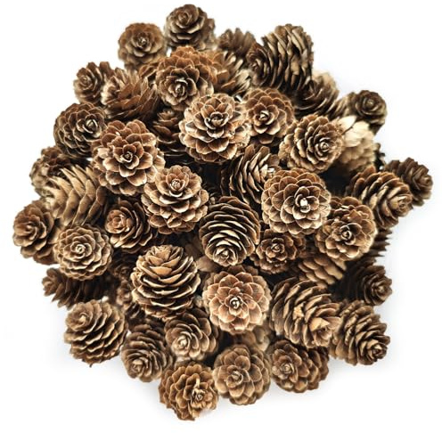 POTWPOT Pine Cones 3.5cm 50pcs Christmas Decorations Natural Mini Rustic for Xmas Party Ornament DIY Crafts Home Dec