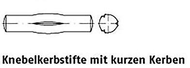 Knebelkerbstifte ISO 8742 Stahl 6 x 20 VE=S 100 Stück