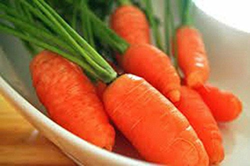 Semi di carota Little Fingers Semi biologici non OGM