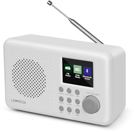 DAB-Radio mit Farbdisplay I DAB+ Tragbares Bluetooth-Radio I Digitale Radios mit Netzanschluss I UKW, 80 Speicherplätze, Kopfhöreranschluss I Küchenradio, Radiowecker I LEMEGA DR3P Steingrau
