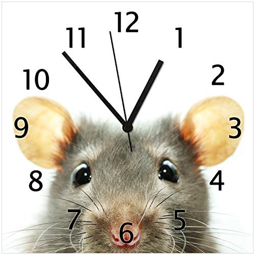 Wallario Design-Wanduhr Maus am Tellerrand aus Glas, Motiv-Uhr Größe 30 x 30 cm, Schwarze Zeiger