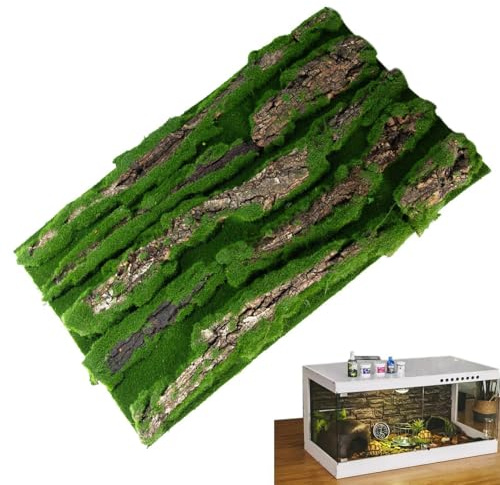 Antecedentes de Corcho para Terrario - Decoración de viviendas de Reptiles | Fondo de Corteza con Espuma Artificial, Accesorio Natural para, Serpiente, camaleón, Gecko, dragón Barbudo y anfibi