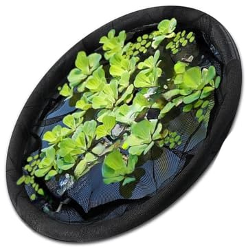 TENYELE Galleggiante Isola Pianta Protector Fish Barrier Stagno Decorazione Acqua Trasmissione Circolare Pesce Barriera Guardia