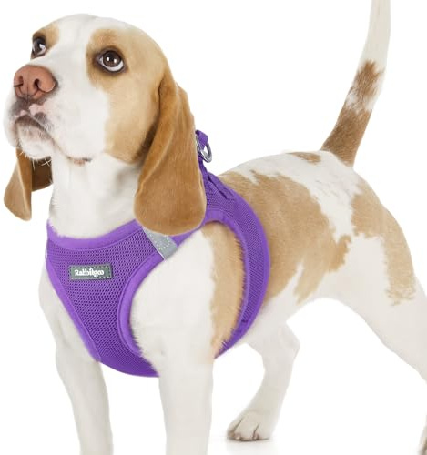 rabbitgoo Harnais Chien Petite Taille Violet M, Harnais Chiot Respirante en Maille Souple, Arnet pour Chien Réfléchissant Facile à Mettre, Gilet Réglable pour Petits et Moyens Chiens pour Marche