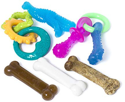 Nylabone Puppy Chew Toy & Treat Bundle, Small, 6 Count