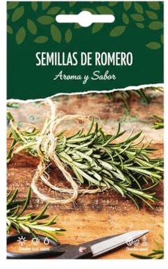 DECOALIVE | Romero Aromático en Semillas para Huerto Urbano, Macetas y Jardines Soleados