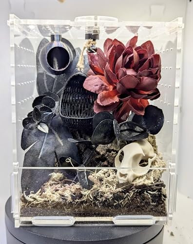Jumping Spider Enclosure Full Setup with Decor included! Suitable for slings, pet spider, front opening, very secure 10cm X 12cm X 15cm Kit Black Swing Chair with Skull