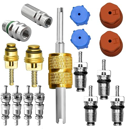 Kit de núcleo de válvula de Aire Acondicionado, Incluye Sistema de refrigeración de A/C R12 y R134a Núcleo de válvula Puerto de Servicio de CA Tapón de Sellado Herramienta de extracción de núcleo