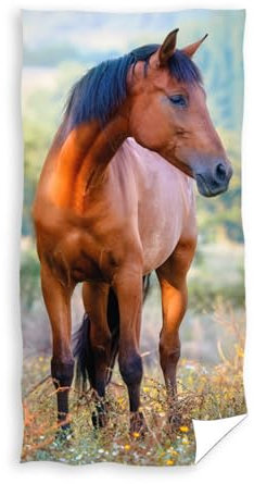 Carbotex Pferde Fohlen Kinder Handtuch 30 x 50 cm (Bunt TNLB204015)