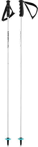 HEAD Worldcup Rebels Carbonio, Bastoncini da Sci Unisex, Bianco, 110 cm