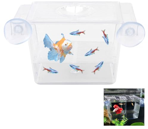 Caisse d'élevage de poissons en acrylique avec ventouses - Isolation pour crevettes et guppys, incubateur pour aquariums, climatation