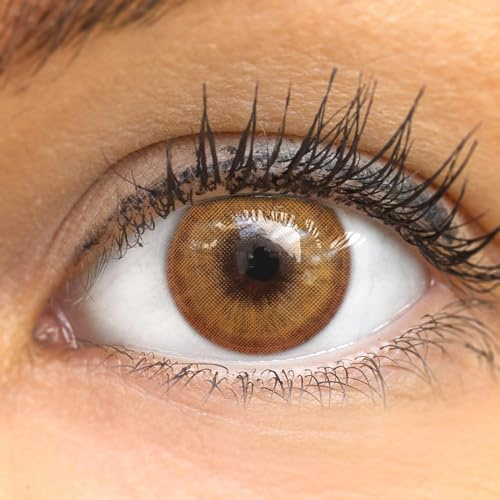 GLAMLENS lentillas de color - Marrón (Lugo Brown) + contenedor. 1 par (2 piezas) 90 Días Sin Graduación 0.00 dioptrías blandos Lentes de contacto marrones de hidrogel de silicona